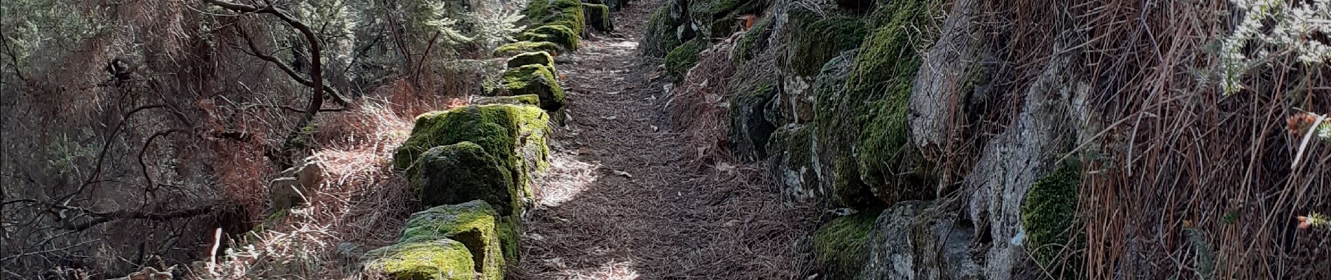 Tocht Stappen Vernon - Tétines et cascade de Baumicou - Photo