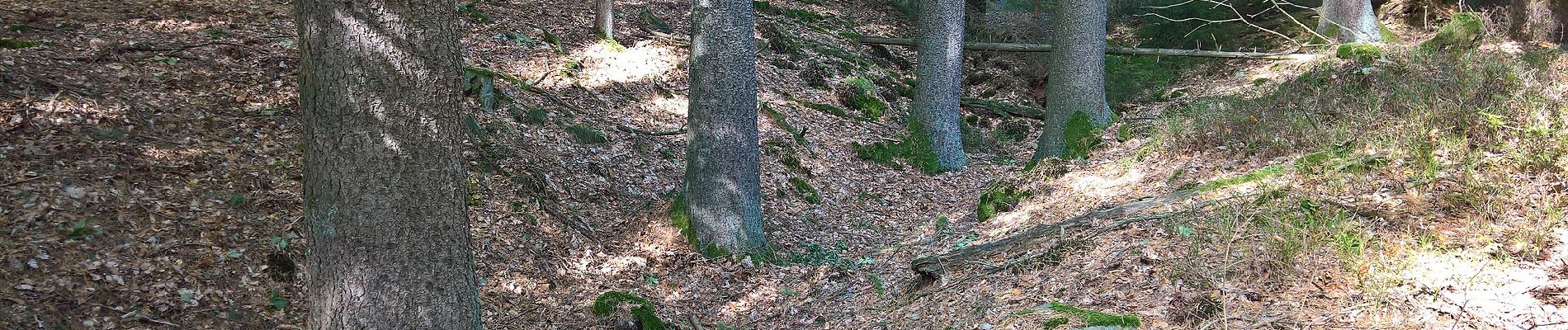 Randonnée A pied Miltenberg - Rundwanderweg Rüdenau 1 : Rüdenauer Bergwanderweg - Photo