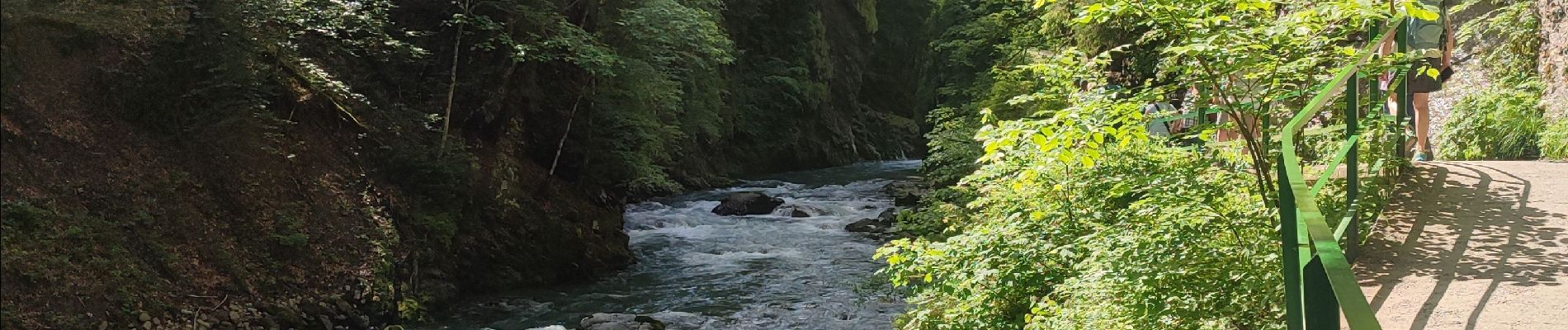 Tour Wandern Oberstdorf - Breitachklamm  - Photo