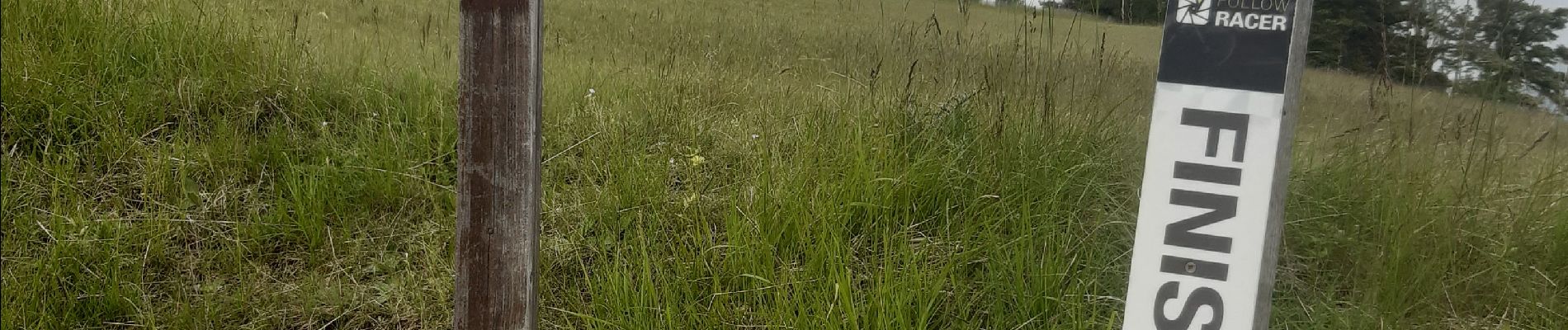 Excursión Bici de carretera Le Sauze-du-Lac - pontis - Photo