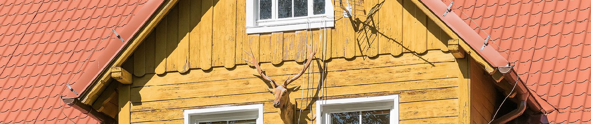 Tour Zu Fuß Stara Bystrzyca - Dolina Tocznej - Photo