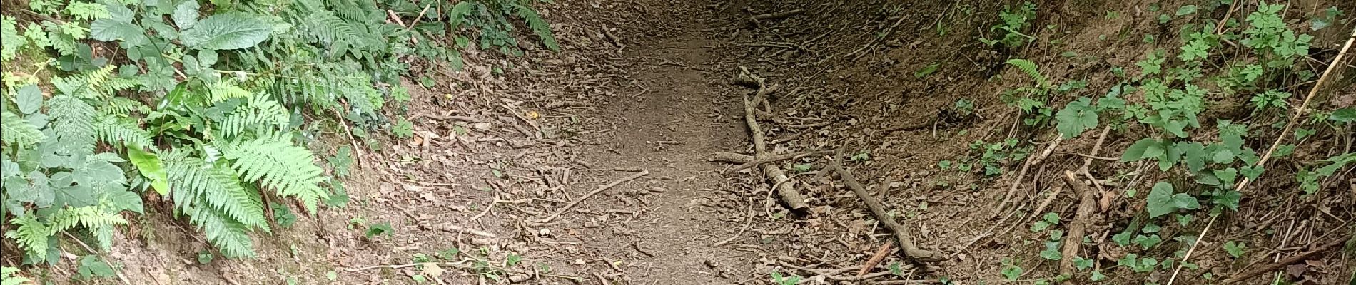 Tocht Stappen Coutances - Coutances - Photo