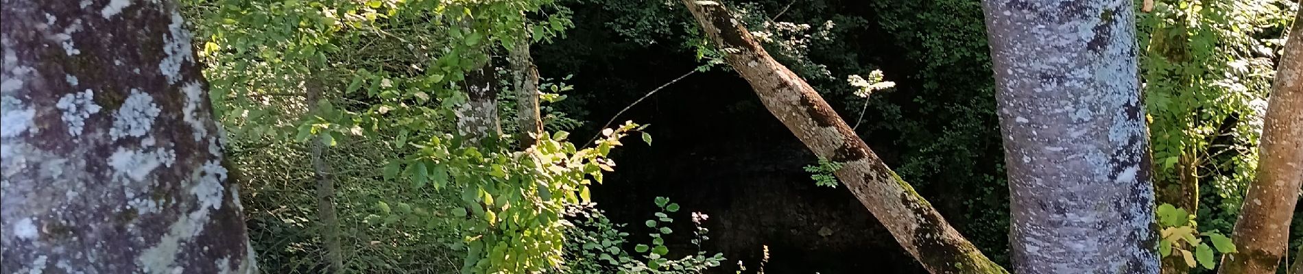 Point d'intérêt Montrond-le-Château - grotte des cavottes - Photo