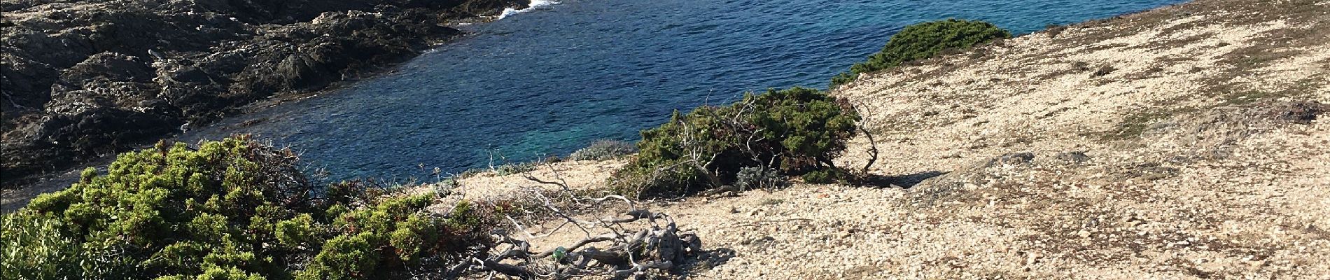 Tocht Stappen Hyères - Porquerolles - boucle nord ouest - Photo