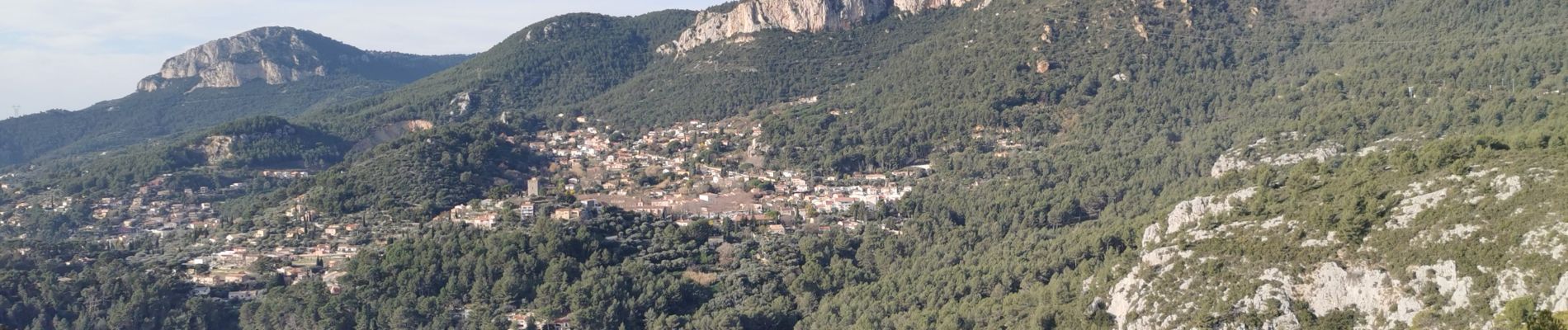 Percorso Marcia La Valette-du-Var - Du Tourris aux Olivières - Photo