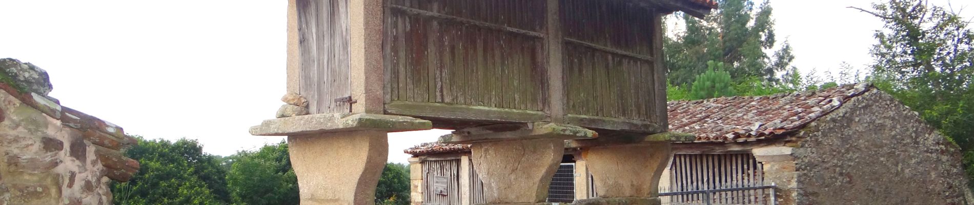 Excursión Senderismo Palas de Rei - Camino Francés - Etp31 - Palas de Rei - Arzua - Photo