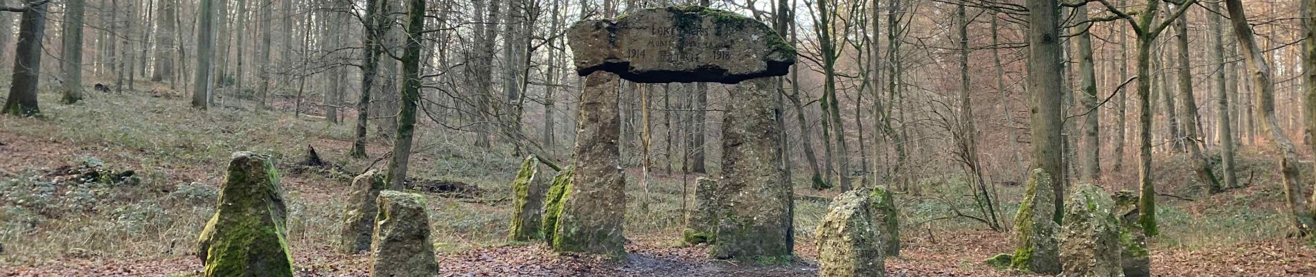 Trail Walking Hoeilaart - De Grœnendaal à Rhode-St-Genèse  - Photo