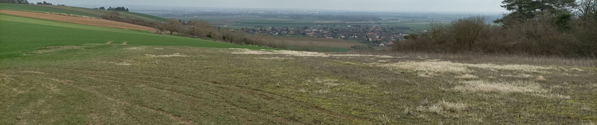 Trail Walking Laines-aux-Bois - Balade chemins forêts - Photo