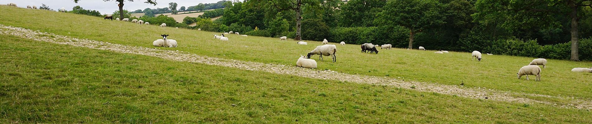 Tocht Te voet Tewkesbury - Warden's Way - Photo