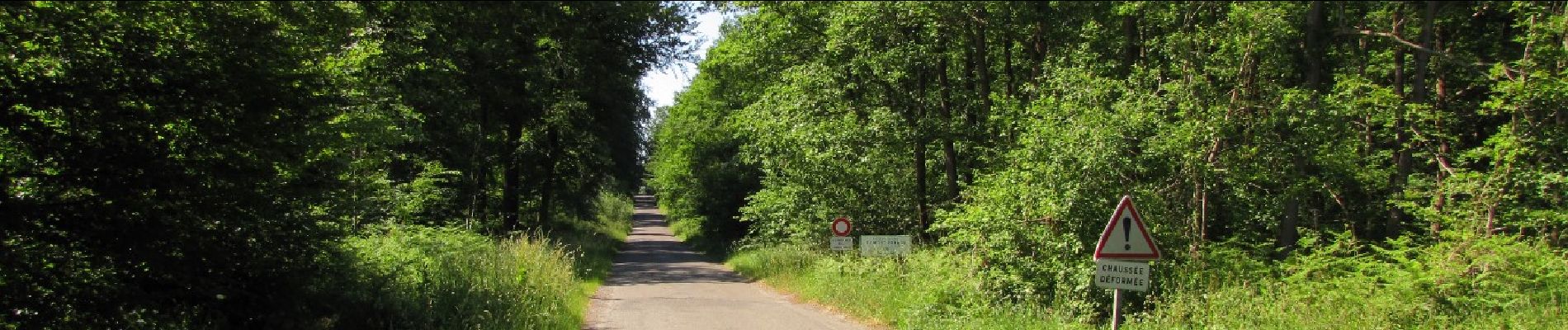 Point d'intérêt Choisy-au-Bac - Point 24 - Photo