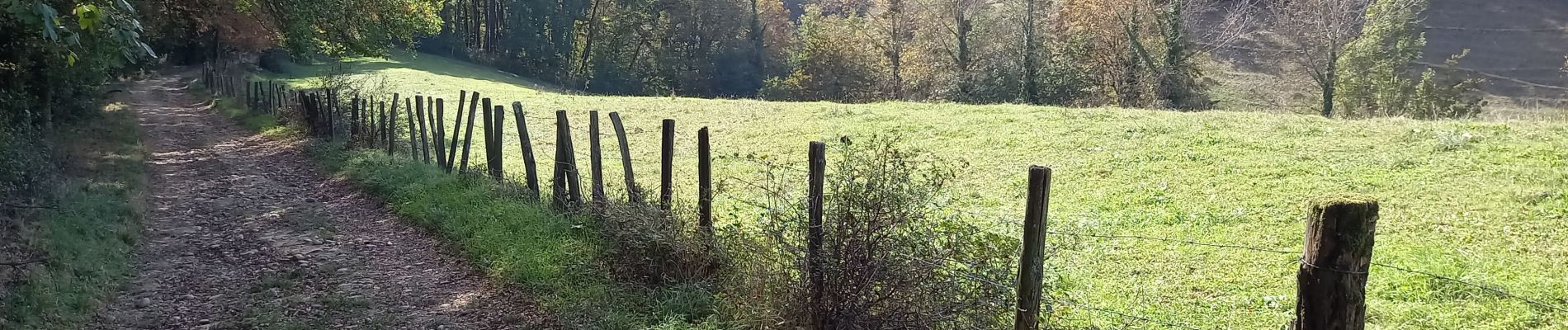 Trail Walking Vienne - 2023-10-08 - St Alban les Vignes - La Balme -  Les Barres - Photo