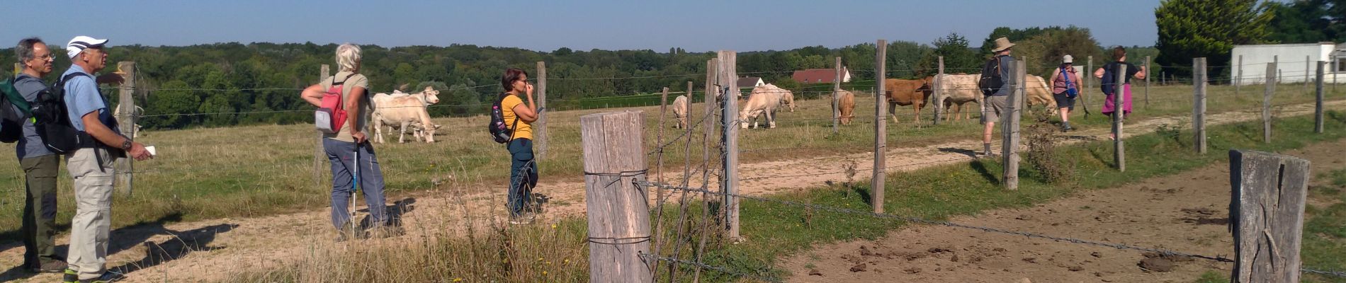 Tour Wandern Bernay-Vilbert - Boucle de Bernay - Photo