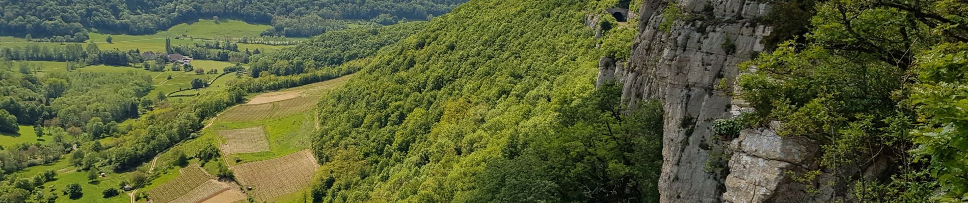 Tour Wandern Arbois - Roche du Feu Arbois - Photo