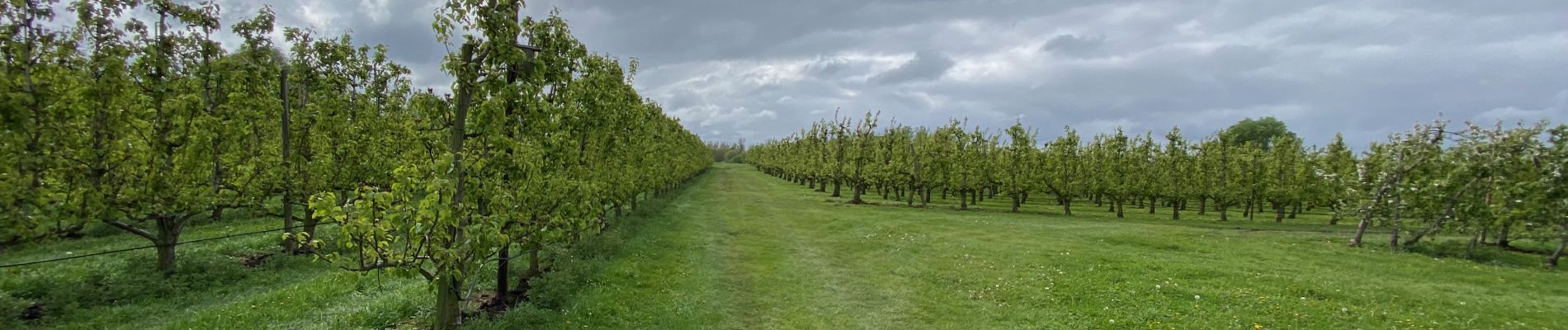 Tour Wandern Zoutleeuw - S-GR Hageland : Terhagen - Diest - Photo