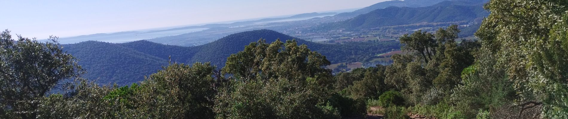 Trail Nordic walking Hyères - les deuxièmes borrels - IBP 79 Rouge - Photo