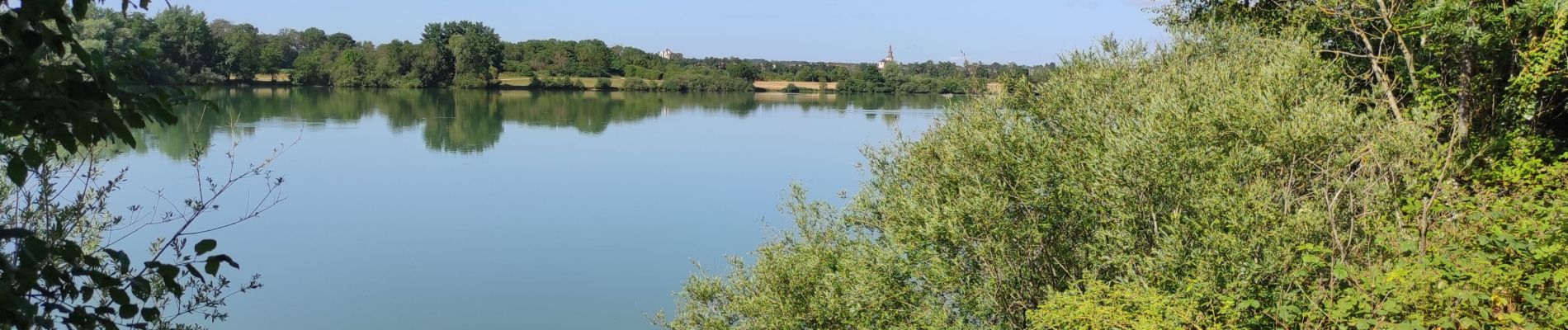 Tour Wandern Heimsbrunn - Nord A 36 Burnhaupt retour  - Photo