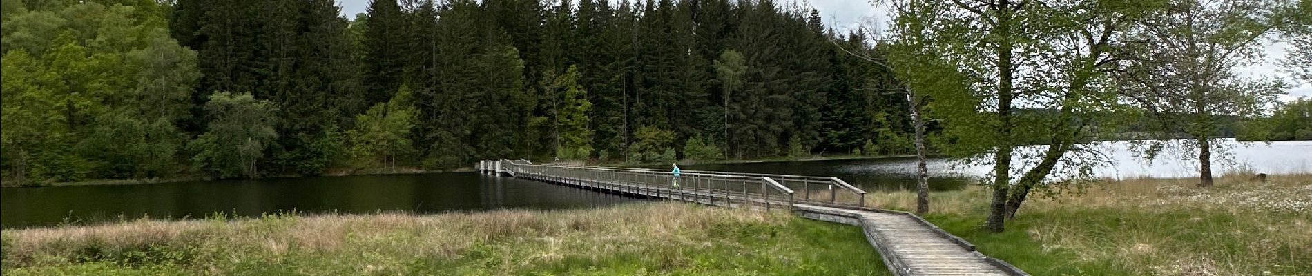 Excursión  Faux-la-Montagne - Tour du lac de Vassiviere - Photo