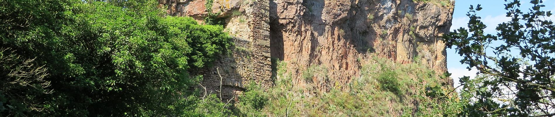 Excursión A pie Bad Kreuznach - Tour Natur - Photo