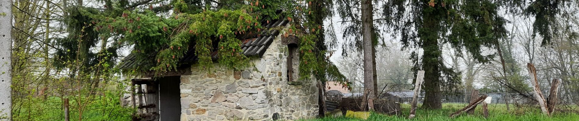 Excursión Senderismo Wanze - Promenade de la pierre (WZ05) - Moha - Photo