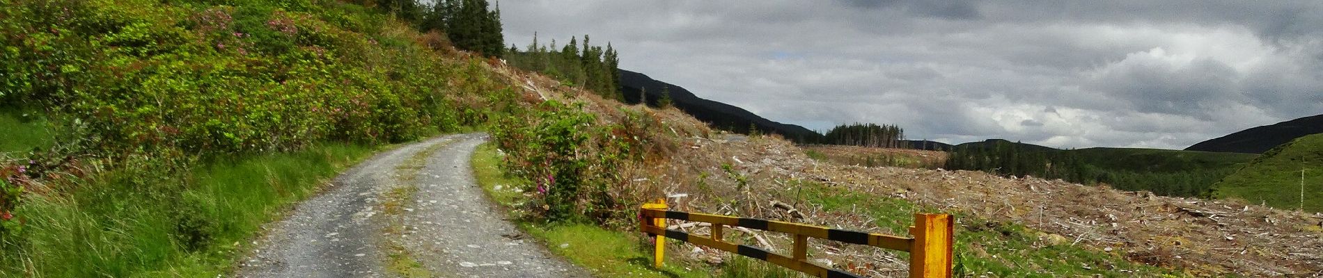 Trail On foot Westport-Belmullet Municipal District - Botky Teep - Photo