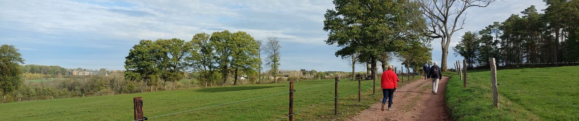 Tocht Stappen Sprimont - 15km Banneux Nov 2022 - Photo