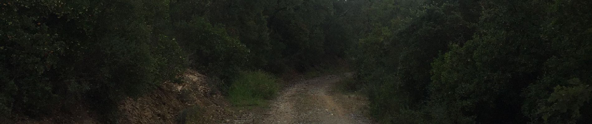 Tour Wandern Les Adrets-de-l'Estérel - Sabatier Estérel 28/10/2019 - Photo