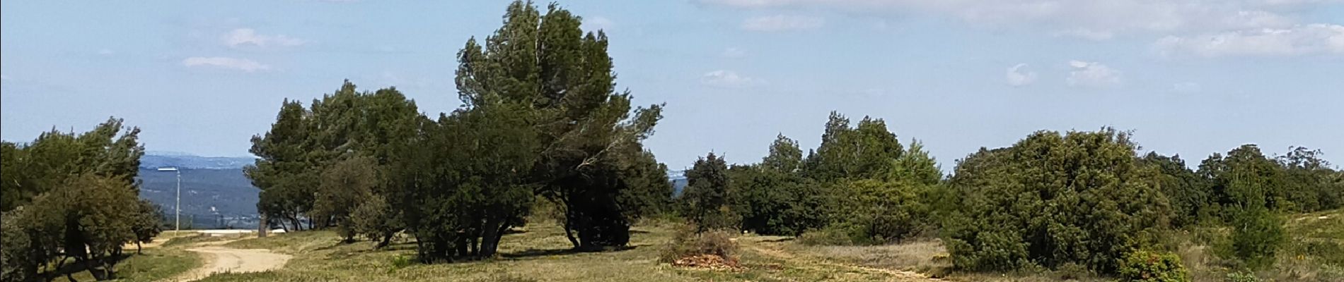 Trail Walking Lézignan-Corbières - LEZIGNAN La pinède par les éoliennes - Photo