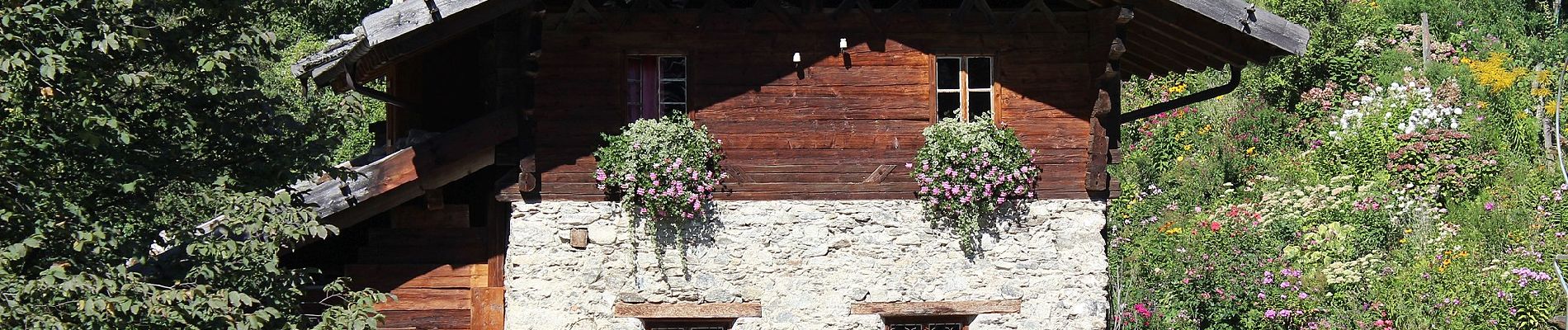 Tour Zu Fuß St. Pankraz - Naturlehrpfad - Photo