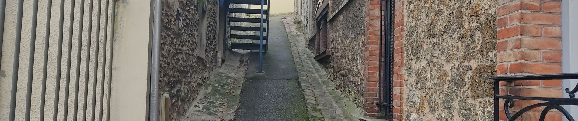 Randonnée Marche Le Vésinet - En passant par Bougival  - Photo