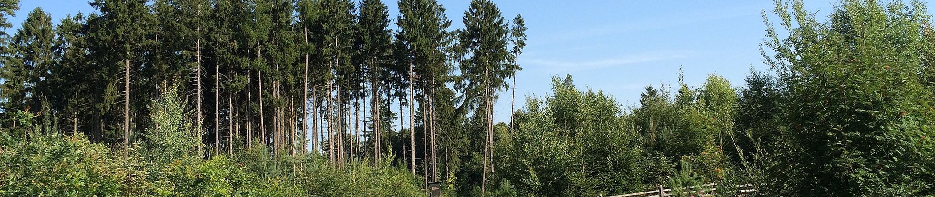 Tocht Te voet Naumburg - Altenstädt - A3 - Photo