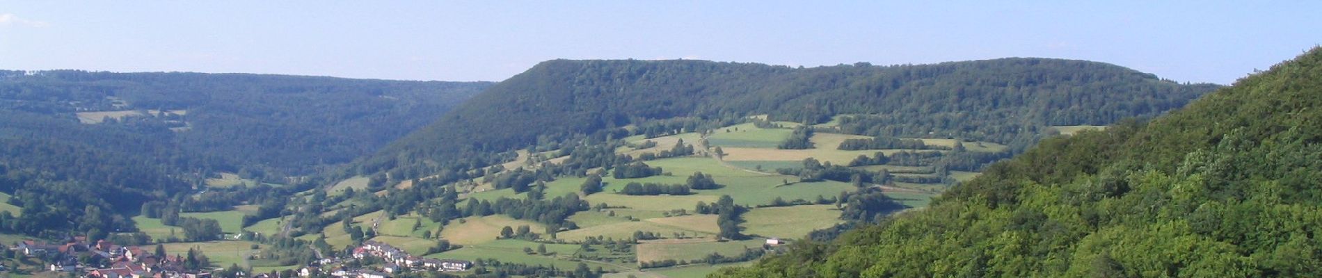 Tour Zu Fuß Sinntal - Schwarzenfels - Rundweg Hopfenberg - Photo