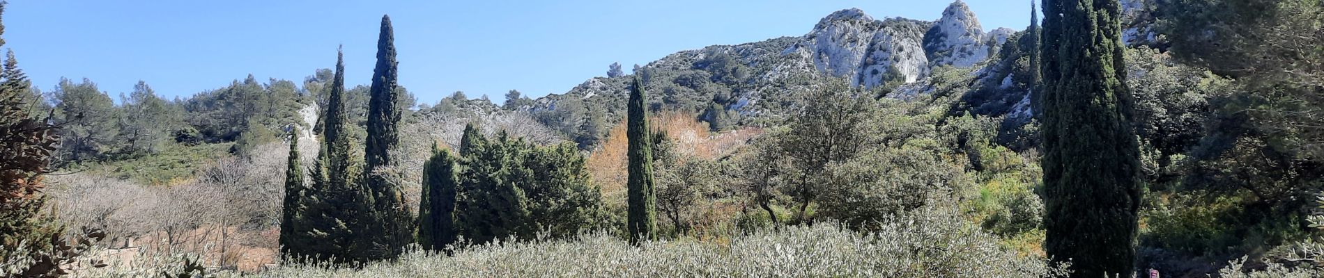 Randonnée Marche Tarascon - CR_Domitia_BA_23_Tarascon_St-Remy-Provence_20220404 - Photo