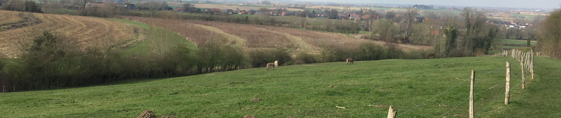 Tour Wandern Heuvelland - Heuvelland  - Photo