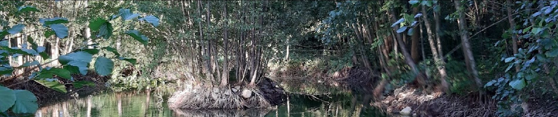 Tour Zu Fuß Ferreux-Quincey -  FERREUX-QUINCEY à Saint-AUBIN - Photo