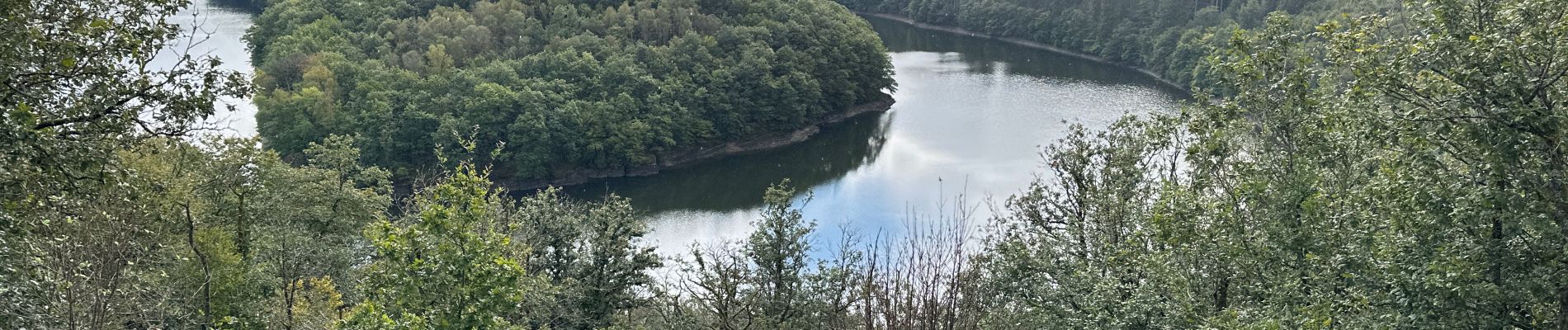 Excursión Senderismo Lac de la Haute-Sûre - Bavigne 10,1 km - Photo