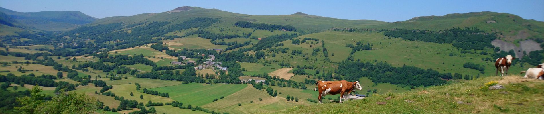 Excursión Senderismo Dienne - Cantal - le Chaumeil - Dienne et Rocher de Laqueille - 9km 265m 2h50 - 2019 07 05 - Photo