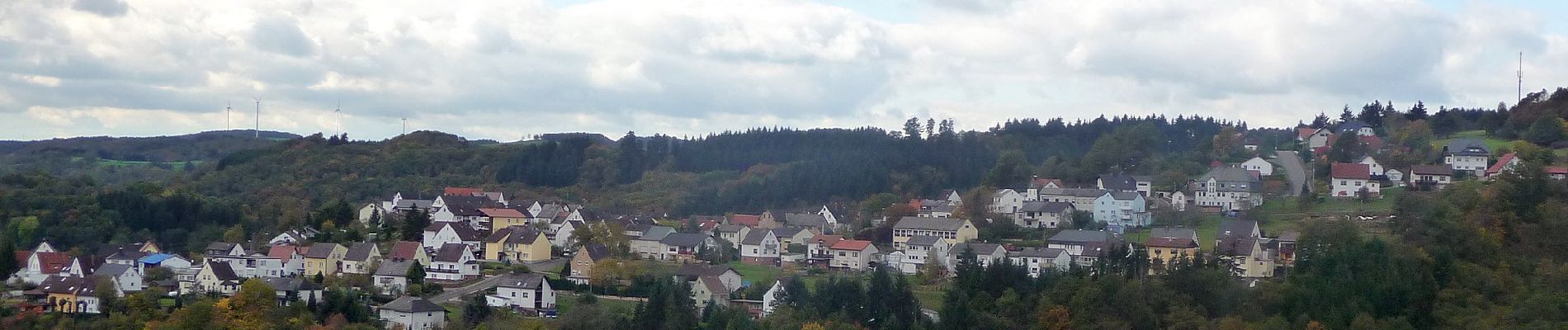 Excursión A pie Frauenberg - Saar-Hunsrück-Traumschleife: Graefin Loretta - Photo