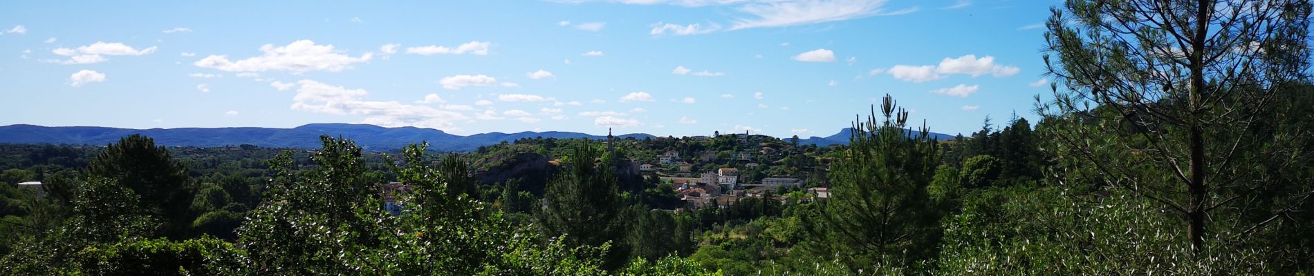 Randonnée Marche nordique Saint-Ambroix - 06.06.20 montèze  - Photo