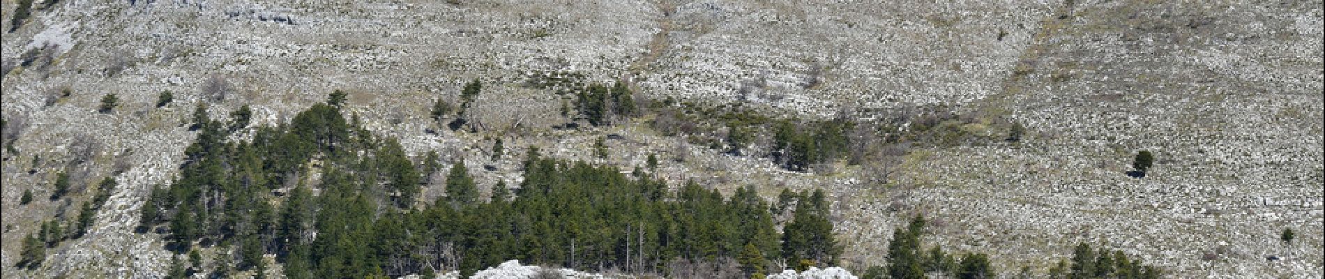 Tocht Stappen Saint-Vallier-de-Thiey - St Vallier de Thiey - Col du Ferrier - Castellaras de la Malle - Col du Pilon - Pierre Druidique - Photo