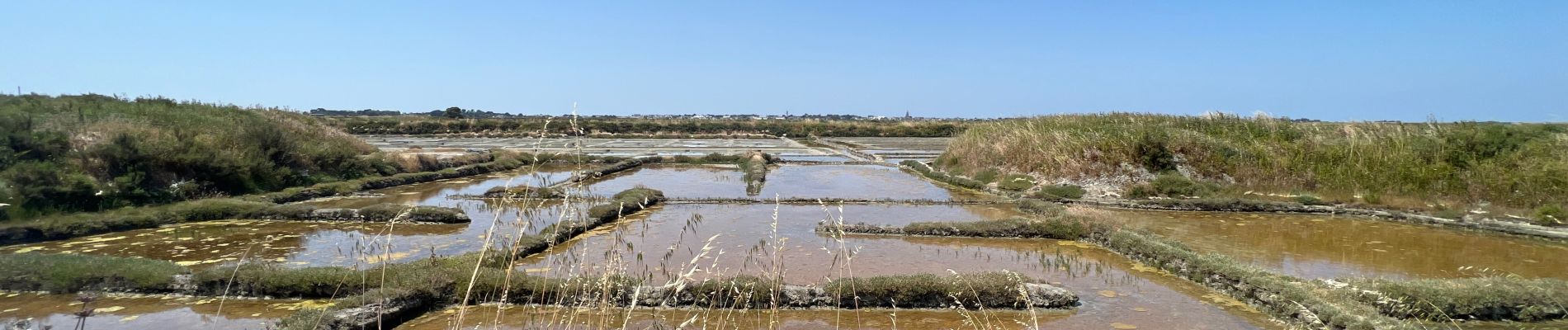 Trail Walking Batz-sur-Mer - Marais Salants de Batz sur Mer - Photo