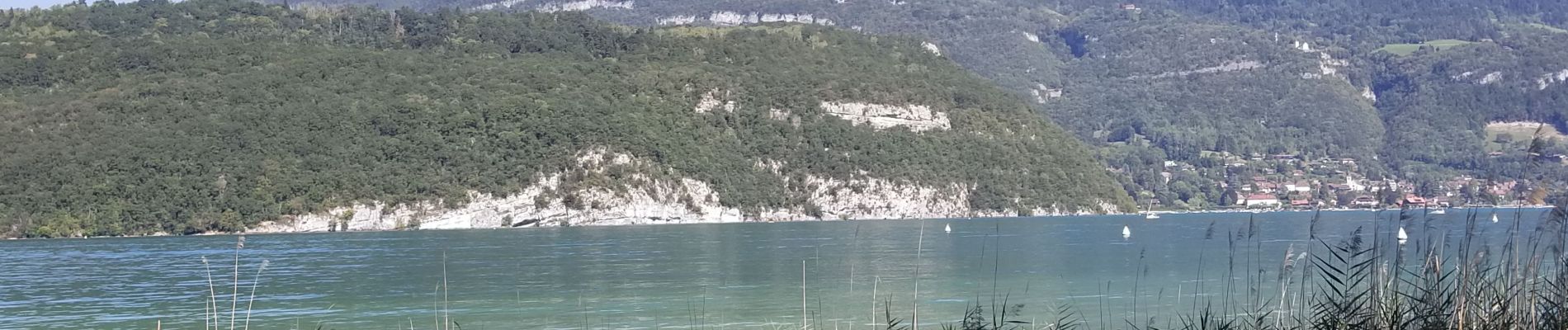 Tocht Stappen Saint-Jorioz - sentier de Roselieres Annecy  - Photo