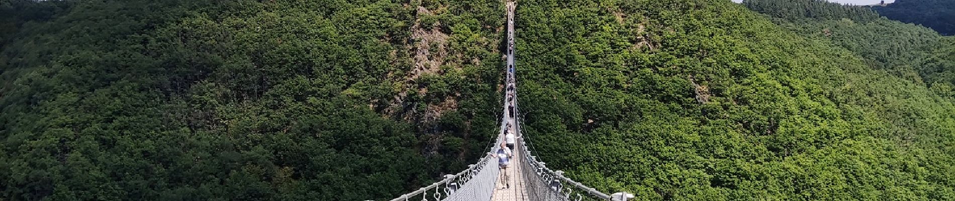 Tocht Stappen Mörsdorf - Promenade vers le pont de Geierlay   - Photo