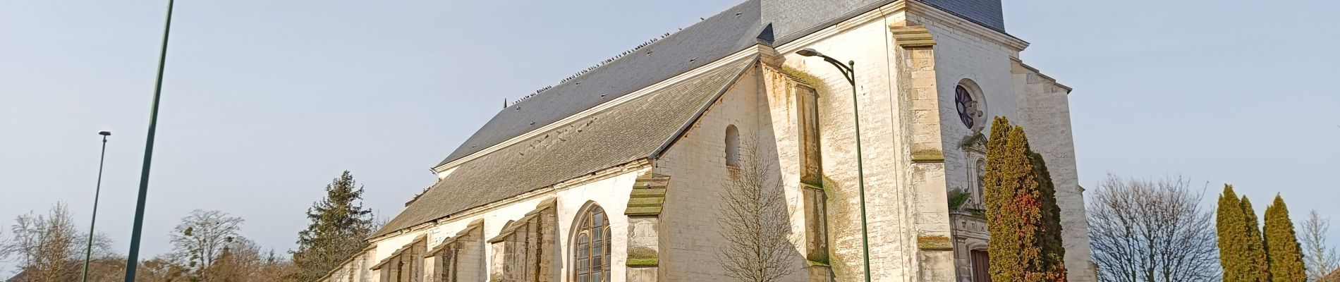 Tour Wandern Vauchassis - Balade en forêt - Photo