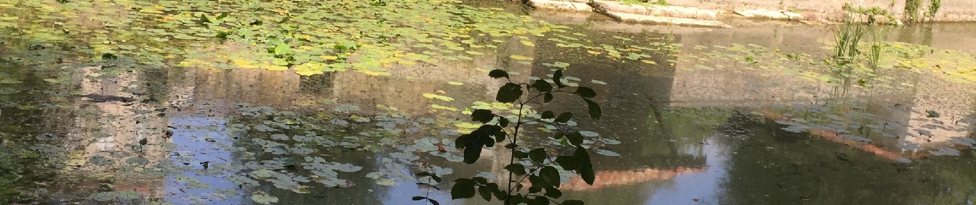 Randonnée Marche Jonzac - Mail de Seugne-parcours pêche - Photo