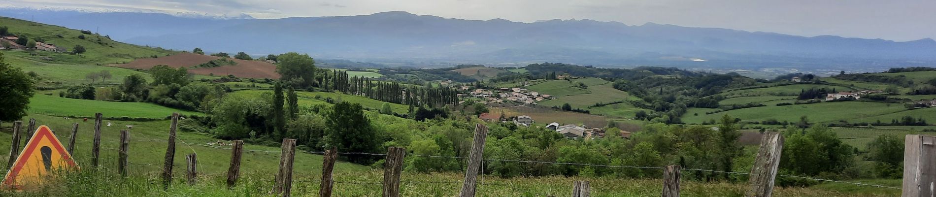 Excursión Bici de carretera Crozes-Hermitage - Rando les Rustines 75km - Photo