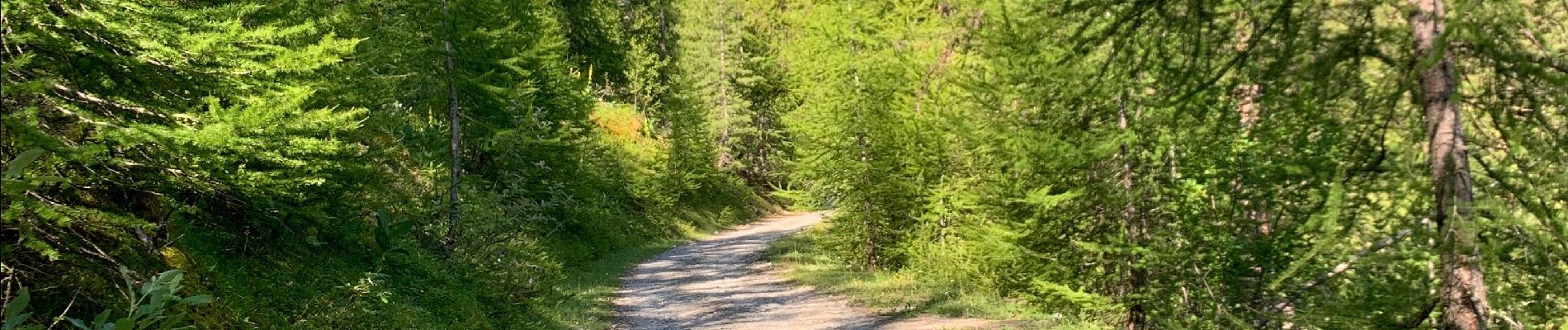 Tocht Stappen Champcella - Col de Tramouillon - Photo