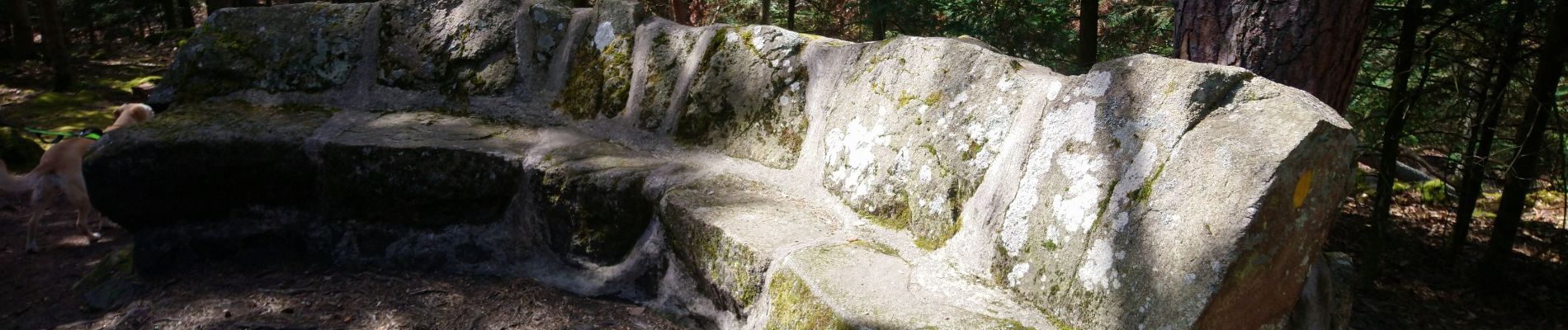 Tour Wandern Egisheim - Boucle 3 châteaux / Espace Herzog / Sous le Hohlandsbourg  - Photo