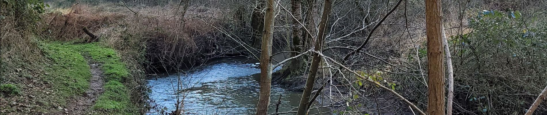 Randonnée Marche Montrevault-sur-Èvre - le moulin du GOUAS    ST Pierre Montlimart - Photo