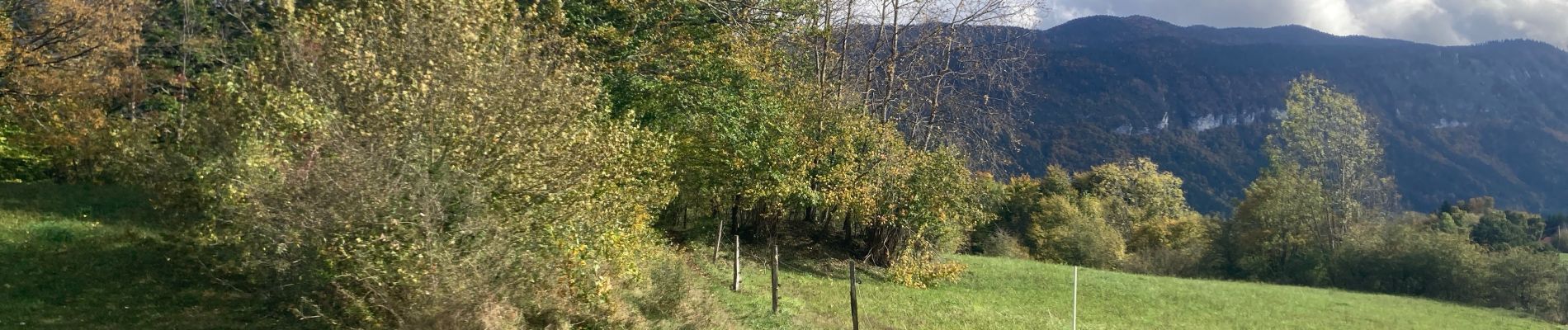 Percorso Bici ibrida Saint-Martin-en-Vercors - Saint Martin en Vercors  - Photo