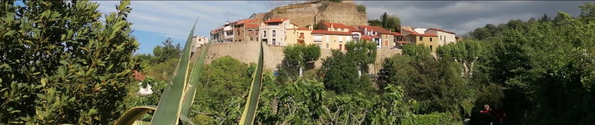 Tocht Stappen Laroque-des-Albères - La Roque des Alberes, randonnée et botanique - Photo